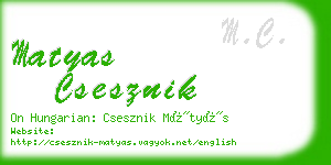 matyas csesznik business card